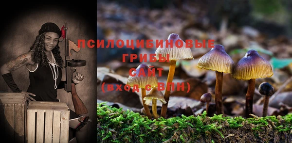 спайс Алексеевка