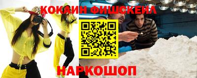 крисы Новодвинск