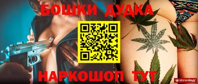 крисы Новодвинск