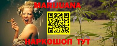крисы Новодвинск
