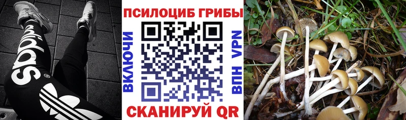 Галлюциногенные грибы Psilocybine cubensis  дарк нет формула  Черемхово 