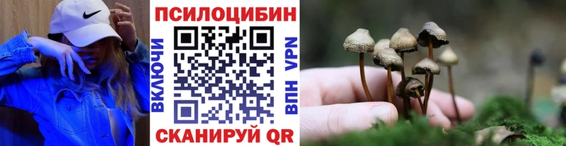 Галлюциногенные грибы Psilocybine cubensis Черемхово
